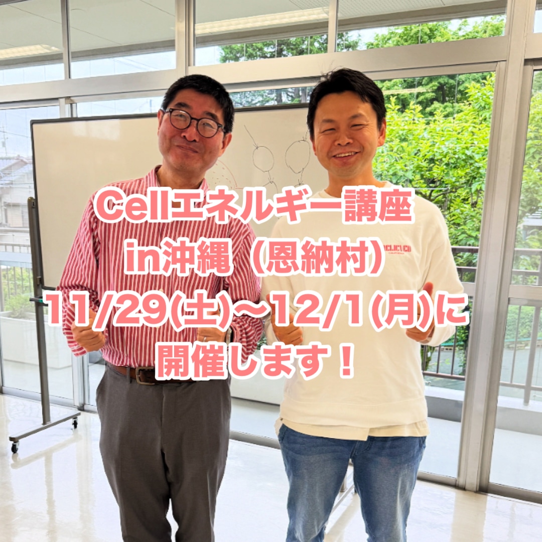 cellエネルギー講座in沖縄
